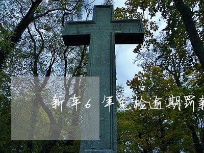 新车6年免检逾期罚款吗 新车6年免检逾期罚款吗