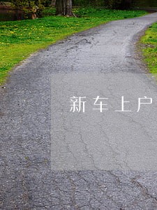 新车上户公司名下有逾期未审 新车上户公司名下有逾期未审