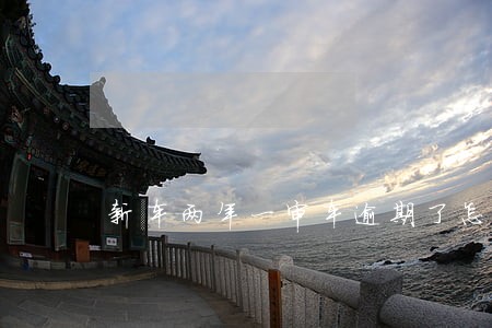 新车两年一审车逾期了怎么办 新车两年一审车逾期了怎么办