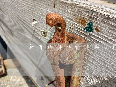新车两年年检逾期会被罚款吗 新车两年年检逾期会被罚款吗