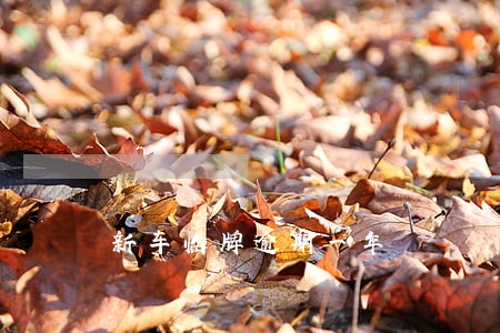 新车临牌逾期一年 新车临牌逾期一年