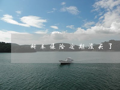 新车保险逾期没买了 新车保险逾期没买了