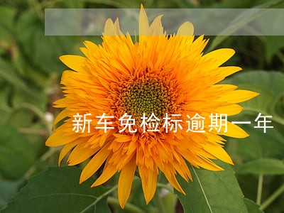 新车免检标逾期一年 新车免检标逾期一年