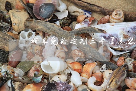 新车免检逾期三年了怎么办