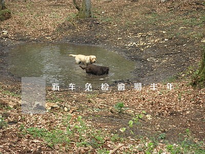 新车免检逾期半年 新车免检逾期半年