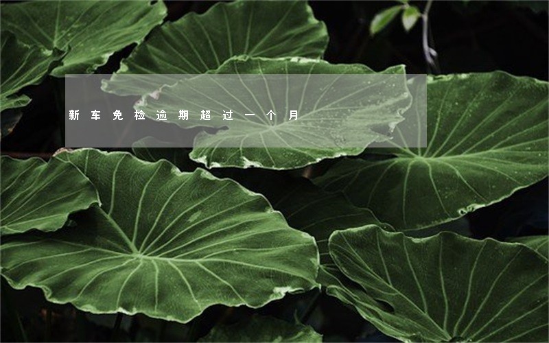 新车免检逾期超过一个月