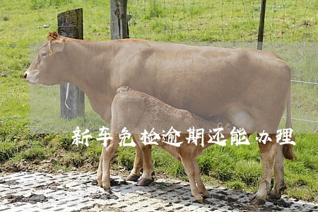 新车免检逾期还能办理 新车免检逾期还能办理