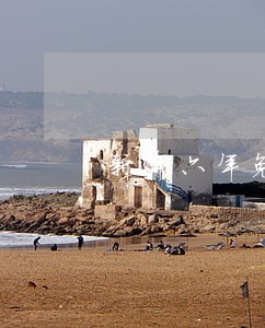 新车六年免检如何年审逾期没办理 新车六年免检如何年审逾期没办理
