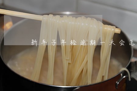 新车子年检逾期一天会怎么样 新车子年检逾期一天会怎么样