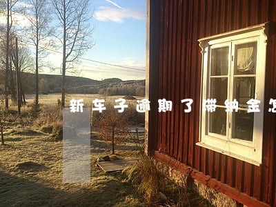 新车子逾期了滞纳金怎么算 新车子逾期了滞纳金怎么算