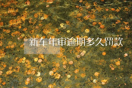 新车年审逾期多久罚款 新车年审逾期多久罚款