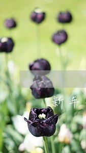 新车年检逾期一周 新车年检逾期一周
