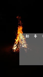 新车年检逾期半个月出了单方事故