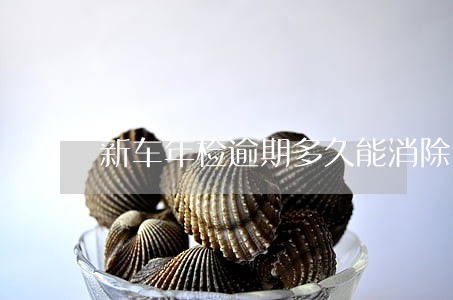 新车年检逾期多久能消除记录 新车年检逾期多久能消除记录