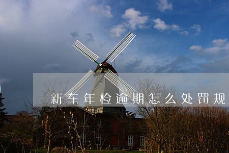 新车年检逾期怎么处罚规定 新车年检逾期怎么处罚规定