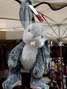 新车怎么显示逾期检验 新车怎么显示逾期检验
