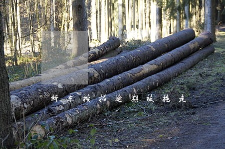 新车按揭逾期被拖走 新车按揭逾期被拖走