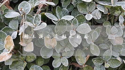 新车提示逾期未检验 新车提示逾期未检验