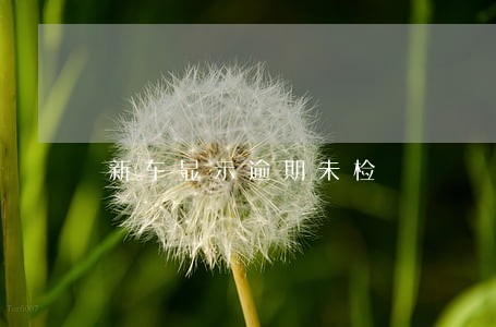 新车显示逾期未检 新车显示逾期未检