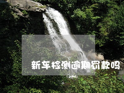 新车检测逾期罚款吗 新车检测逾期罚款吗