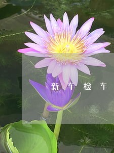 新车检车时间逾期了怎么办 新车检车时间逾期了怎么办