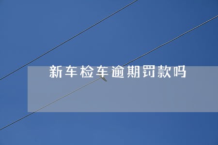 新车检车逾期罚款吗 新车检车逾期罚款吗