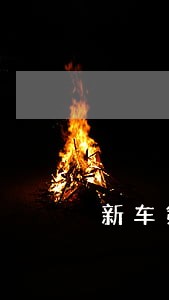 新车第一年年审逾期 新车第一年年审逾期