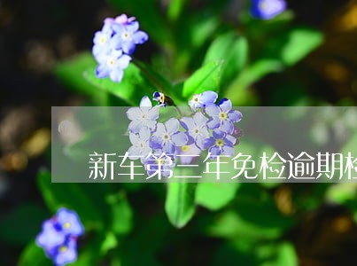 新车第三年免检逾期检测 新车第三年免检逾期检测