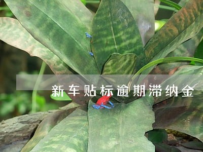 新车贴标逾期滞纳金 新车贴标逾期滞纳金