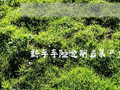 新车车险逾期后果严重吗