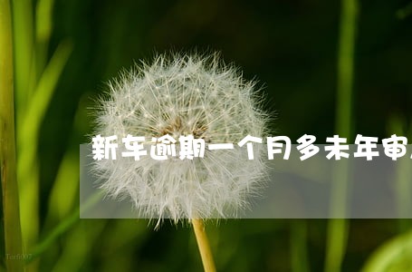 新车逾期一个月多未年审怎么办 新车逾期一个月多未年审怎么办