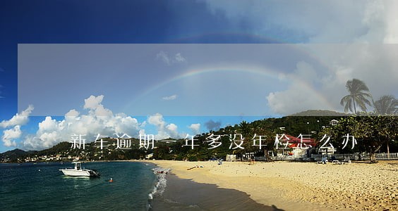 新车逾期一年多没年检怎么办