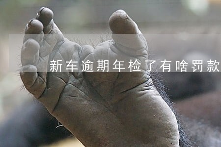 新车逾期年检了有啥罚款吗 新车逾期年检了有啥罚款吗