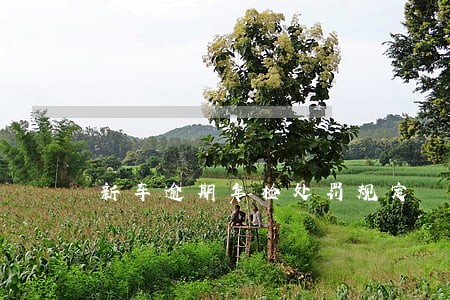 新车逾期年检处罚规定 新车逾期年检处罚规定