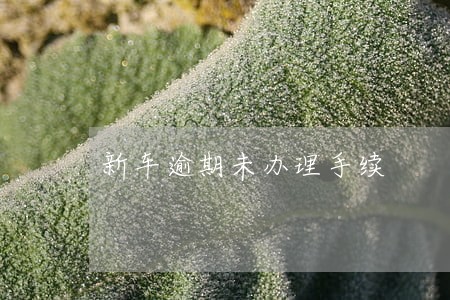 新车逾期未办理手续 新车逾期未办理手续
