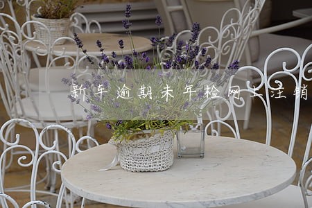 新车逾期未年检网上注销 新车逾期未年检网上注销