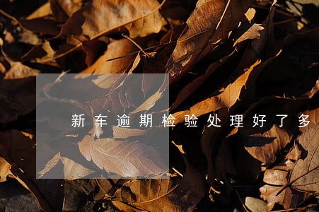 新车逾期检验处理好了多久能恢复 新车逾期检验处理好了多久能恢复