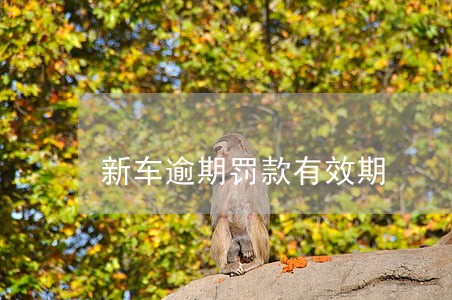 新车逾期罚款有效期 新车逾期罚款有效期