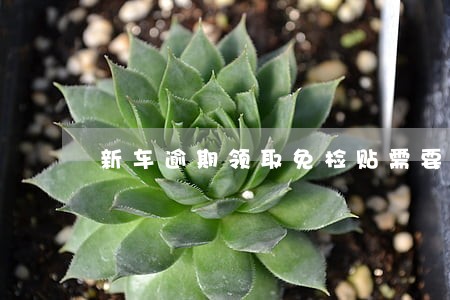 新车逾期领取免检贴需要罚款吗 新车逾期领取免检贴需要罚款吗
