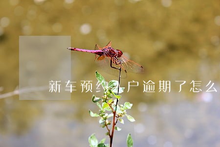 新车预约入户逾期了怎么取消 新车预约入户逾期了怎么取消