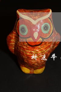 新选举法什么人不能参选 新选举法什么人不能参选
