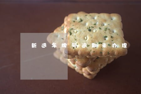 新选车牌号逾期未办理 新选车牌号逾期未办理