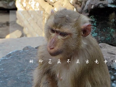 新邱区反不正当竞争律师咨询电话 新邱区反不正当竞争律师咨询电话