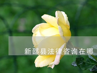新邵县法律咨询在哪