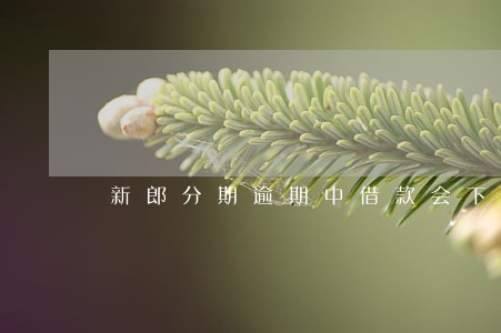 新郎分期逾期中借款会下款吗 新郎分期逾期中借款会下款吗