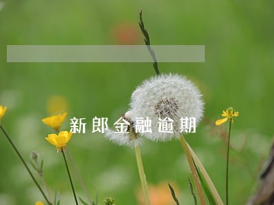 新郎金融逾期 新郎金融逾期