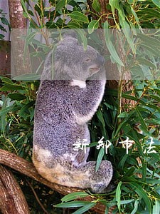 新郑市法院学校