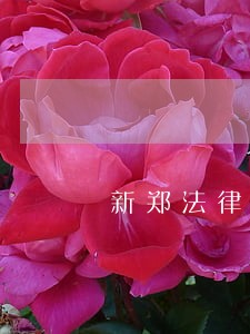 新郑法律援助在什么地方 新郑法律援助在什么地方