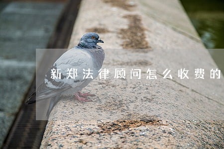 新郑法律顾问怎么收费的