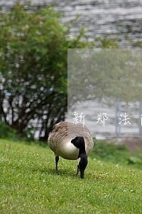 新郑法院技术定位查找被藏轿车 新郑法院技术定位查找被藏轿车
